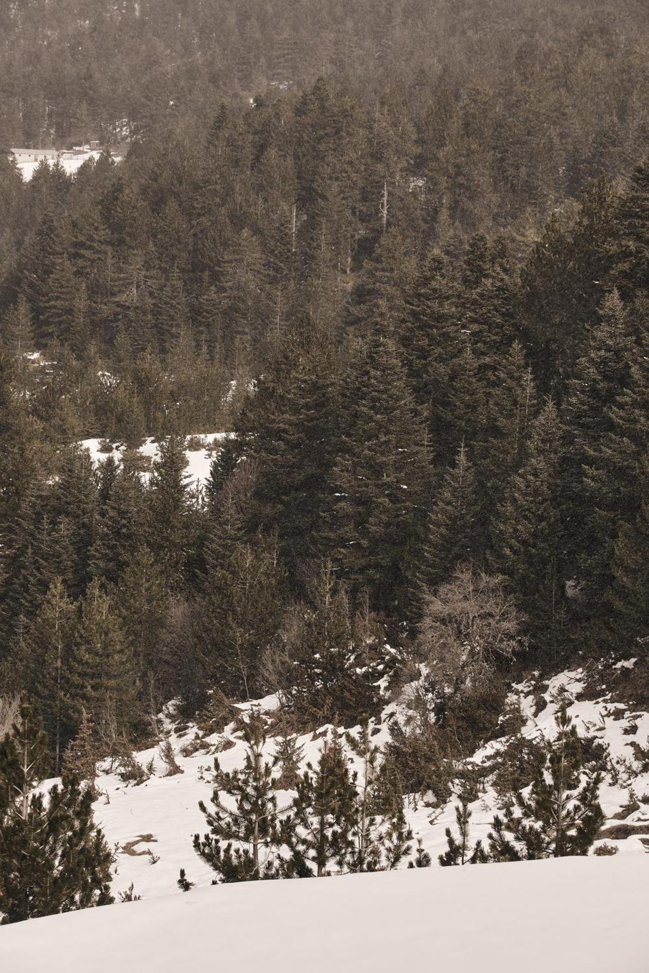 Grand Forest Metsovo Hotel Exterior photo